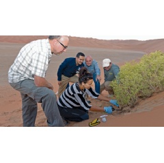 From left to right: Professor Daniele Daffonchio; research scientist Dr. Ramona Marasco; Samer Abduljabbar; Wayne Sweeting and sanctuary ranger Hashim Al Dairi take microbiological samples from the roots of a desert shrub.