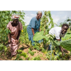 The Cargill Cocoa Promise has so far supported more than 145,000 farmers worldwide with market access, training and resources, while working with almost 500 farmer organizations and cooperatives.