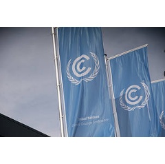 UN climate body - the UN Framework Convention on Climate Change - flags flying outside the Bonn conference centre where COP23 will take place.
 Naoyuki Yamaghish / WWF