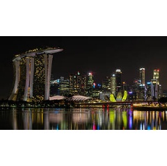 The Singapore city skyline
© Kajan Madrasmail / WWF Singapore