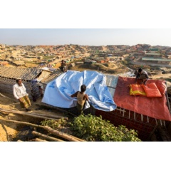 A refugee reinforces a shelter with a tarpaulin supplied by UNHCR at the Kutupalong refugee settlement, Bangladesh.   UNHCR/Roger Arnold