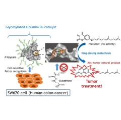 Newly developed method to deliver a drug to cancer cells by using an artificial metalloenzyme that protects a metal catalyst (Ru), and a sugar chain (N-Glycans) that guides the metalloenzyme to the target cells.