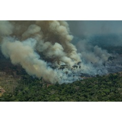 CANDEIRAS DO JAMARI, RONDÔNIA, BRAZIL: Aerial view of a large burned area in the city of Candeiras do Jamari in the state of Rondônia. (Photo: Victor Moriyama / Greenpeace), Amazon Burning Overflight © Victor Moriyama / Greenpeace