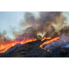 CAL FIRE’s Northrop Grumman-produced Computer-Aided Dispatch system will soon be able to receive wildfire information from remote sensing data, allowing firefighters to track and combat blazes quicker and more precisely (Source: Getty Images).