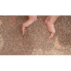 Patricia’s team have also replaced synthetic fertilizers with the waste and byproducts from their sugar mills.
