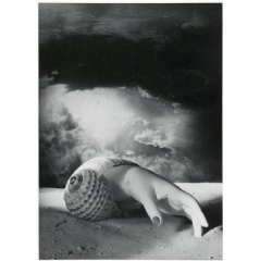Untitled (Hand-Shell) 1934. Centre Pompidou, Musée national d’art moderne, Paris Photo © Centre Pompidou, MNAM-CCI, Dist. RMN-Grand Palais / image Centre Pompidou, MNAM-CCI © ADAGP, Paris and DACS, London 2019