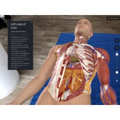 A 3D anatomy image from 3D4Medicals Complete Anatomy. Elsevier, part of RELX PLC, announced Wednesday morning that it had acquired 3D4Medical, a Dublin-based company.