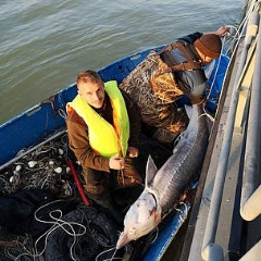 More than 100 karmaci, long lines with hundreds of hooks, have already been seized in Bulgaria this year.
© Executive Agency of Fisheries and Aquaculture, Bulgaria