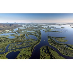 Pantanal wetland - one of the worlds largest tropical wetland
 Andre Dib/WWF