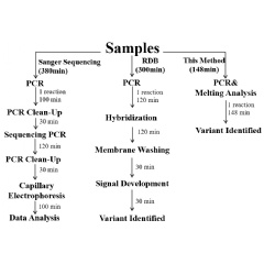 The superiority and applicability comparison of Sanger sequencing, RDB, and this method for nondeletional α-thalassemia genotyping.
