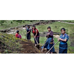 UNDP Guatemala/Caroline Trutmann
Women farmers in Guatemala.