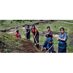 UNDP Guatemala/Caroline Trutmann
Women farmers in Guatemala.