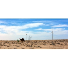 © UNDP Mauritania/Freya Morales
A camel stand in a windmill park on the outskirt of Nouakchott, Mauritania.
