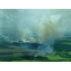 Forest fires Cerrado Pantanal side Bolivia. Located between the Amazon, Atlantic Forests and Pantanal.

Marius Brants / WWF