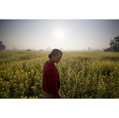 The SDGs recognize that people and nature are interconnected.
 James Morgan