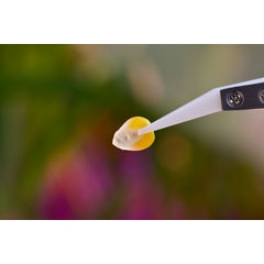 Through its novel seed treatment technology, Andes is reducing the need for synthetic fertilizers. Bayer AG