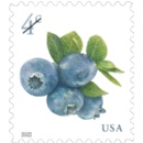 Postal Service Issues New Blueberries Stamp