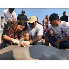 First satellite tagging of Indus river dolphin in Pakistan
 Janan Sindh
