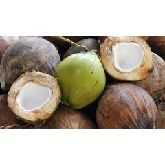 BASF is first to offer personal care ingredients based on certified sustainable coconut oil.