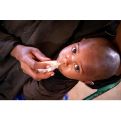 UNICEF/UN0591072/Taxta