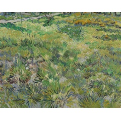 Vincent van Gogh, Long Grass with Butterflies, 1890 © The National Gallery, London