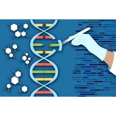 Building on the CRISPR gene-editing system, MIT researchers designed a new tool that can snip out faulty genes and replace them with new ones.
Credits:Image: MIT News, with images from iStockphoto