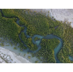  Martina Lippuner / WWF