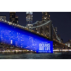Greenpeace USA activists project scenes of beauty and fragility onto New York’s iconic Brooklyn Bridge.
© POW / Greenpeace
