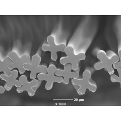 A cross section of cellulose acetate fiber