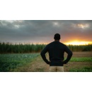 Aviva launches Sustainable Business Coach tool