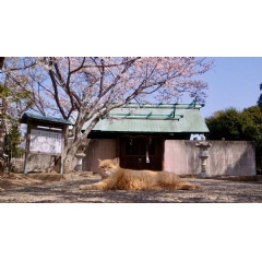 Gokogu no Neko (The Cats of Gokogu Shrine).  Laboratory X, Inc.
