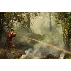 Wildfires in Southeast Asia significantly affect the moods of people in many neighboring countries, with people becoming more upset if fires originate outside their own country, (see complete caption below)