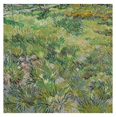 Vincent Van Gogh, Long Grass with Butterflies, 1890  The National Gallery, London