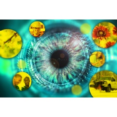 Caption:A dataset of transformed images can be used to effectively simulate peripheral vision in a machine-learning model, improving the performance of these models on detecting and recognizing objects (see complete caption below)