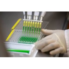 Medicines Patent Pool / Rodger Bosch
A laboratory technician at work at Afrigen in Cape Town, South Africa