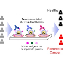 
 Wiley-VCH, re-use with credit to Angewandte Chemie and a link to the original article.