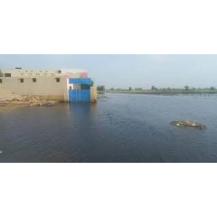 Flood waters in Sanghar district in Sindh province, September 2024. Photo credit: Save the Children