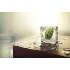 Technomelt Supra 079 Eco Cool combines bio-based materials with low processing temperature.