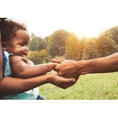 AlessandroBiascioli / Shutterstock.com
