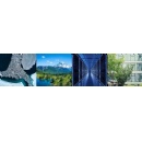 2025 annual trend report: the way for sustainable business forward