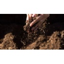 Letter to the European Parliament: Business Support for the Soil Monitoring Law