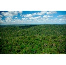 Global experts call on G20 to address impacts of nature loss on the global economy