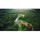 The Voluntary Carbon Market Is Evolving  Here is What Your Business Needs to Know