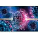 Scientists discover compounds that help cells fight a wide range of viruses