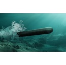 Lockheed Martin Delivers 250th MK 48 Guidance and Control Section