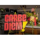 Carbe Diem: Pasta, Reimagined
