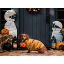 Pillsbury Brings its Most Popular Halloween Recipe to Life  Launching a Crescent Mummy Dog Costume for Pets