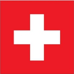 Swiss light banking license