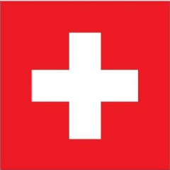 Swiss light banking license
