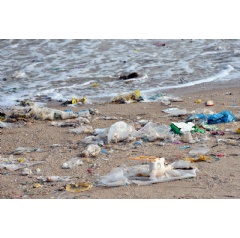 Target customers ask Target to stop plastic pollution at the source